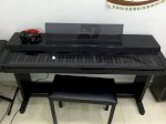 Piano Điện Yamaha Clp 560