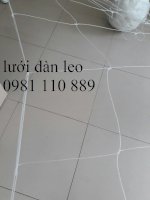 Lưới Dàn Leo Làm Dàn Trồng Cây Thân Leo