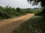 Bán Đất Đồng Chanh, Lương Sơn, Hòa Bình. Cách Ql21 Hơn 2Km.