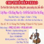 Nơi Chuyên Cho Thuê Đàn Cello Biểu Diễn Quay Chương Trình