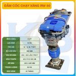 Máy Đầm Cóc Chạy Xăng Rw80