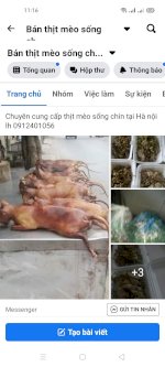 Bán Thịt Mèo Tại Hà Nội