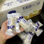 Bánh Sữa Chua (Bánh Mì Nhân Sữa Chua Mini Pocket)
