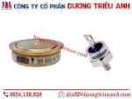 Diode Sermikron - Thyristor Sermikron - Diot Sermikron- Chỉnh Lưu Sermikron Chinh Hãng 2021