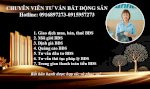 Bán Đất Phân Lô Đại Yên-Hạ Long Giá Chỉ Từ 9,5 Triệu/M2