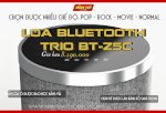 Loa Bluetooth Thông Minh Trio Bt- Z5C