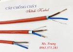 Cáp Chống Cháy Có Chống Nhiễu Tiêu Chuẩn Iec60331