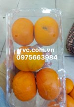 Địa Chỉ Bán Hộp Nhựa Đựng Trái Cây 1Kg Giá Rẻ