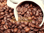 Bán Cà Phê Hạt Robusta Với Giá Sỉ Ổn Định Tại Đồng Nai