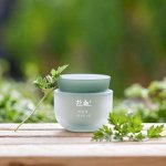 Khóa Ẩm Bảo Vệ Làn Da Với Kem Dưỡng Hanyul Pure Artemisia Calming Water Cream