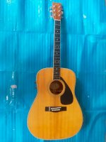 Yamaha Acoustic Guitar Model Ef 05 Có Eq