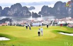 Biệt Thự Đồi Sân Golf View Vịnh Giá Chỉ Từ 25 Triệu/M2