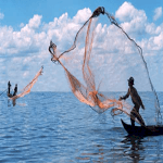 Lưới Chài Ném Đánh Bắt Cá