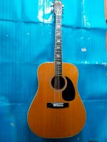Morris Acoustic Guitar Model W 35 Tem Vuông