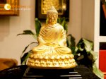 Tượng Phật A Di Đà Mạ Vàng Cao Cấp - Đồ Đồng Ngọc Tùng