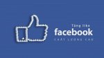 Cách Tăng Like Facebook Cá Nhân Miễn Phí Đơn Giản 2022