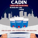 Sơn Chống Thấm Siêu Co Giãn Cadin Chuyên Dùng Chống Thấm Cho Sàn