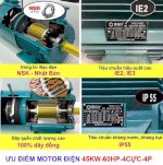 Motor Điện 45Kw - 60Hp 4 Cực 4P