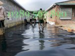 Màng Sử Lý Nước Thải,Bãi Rác Hdpe 1.5Mm Khổ 4Mx50M 200M2-Kho Nghệ An