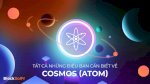 Hệ Sinh Thái Cosmos (Atom)