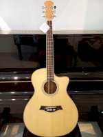 Bán Đàn Guitar Acoustic Gsm200