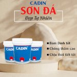 Cửa Hàng Bán Sơn Giả Đá Cadin Chất Lượng Cho Biệt Thự