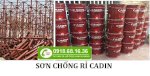 Bán Sơn Chống Rỉ Cadin Tại Bình Phước