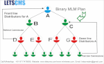 Mlm Binary Plan | Binary Mlm Software | Binary Mlm Direct Selling