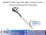 Wrnk2-131M Cặp Nhiệt Điện Chống Ăn Mòn Anhui Tiankang Stc Việt Nam