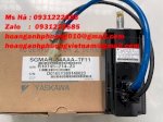 Công Ty Hoàng Anh Phương Chuyên Servo Motor Yaskawa Sgmah-04Aaa-Tf11