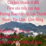 Cần Bán Nhanh Lô Đất View Săn Mây Cực Đẹp Tại Xã Lộc Thành, Huyện Bảo Lâm, Tỉnh Lâm Đồng