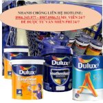 Nhà Phân Phối Sơn Dulux Giá Rẻ Chính Hãng Tại Cần Giuộc Long An