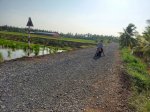 Đất Vườn Dừa Sáp Vĩnh Bình, Gct Giá 1,7 Tỷ/1000M2