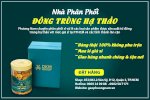 Đông Trùng Hạ Thảo Là Gì? - Nên Mua Ở Đâu Là Tốt Nhất? Giá Bao Nhiêu?