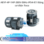 Aevf-4P-1Hp-380V-50Hz-Ip54-Ie1 Động Cơ Điện Teco Stc Việt Nam