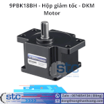 9Pbk18Bh Hộp Giảm Tốc Dkm Motor Stc Việt Nam