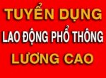 Tuyển Dụng Lao Động Phổ Thông Tại Quận Đống Đa, Hà Nội
