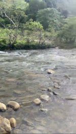 Bán 1 Hecta Đất Giáp Sông Ba Siêu Đẹp Tại Gia Lai Giá Chỉ 650 Triệu