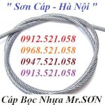 Cáp Thép Mạ Kẽm Bọc Nhựa D2 Hà Nội Thanh Sơn Có Đầu Cốt Nhôm Ép Kẹp Chì Đầu Cáp Thép, Bẹn Lót Cáp Inox 304 D2, Khóa Cáp Inox 304 D2, Tăng Đơ Inox 304 D4, Ròng Rọc Đơn Inox 304 D15