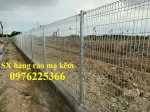 Hàng Rào Lưới Thép Mạ Kẽm, Hàng Rào Mạ Kẽm Nhúng Nóng D5 A50X200