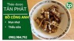 Rễ Bồ Công Anh Được Dùng Tại Hcm Uy Tín