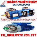 Động Cơ Điện Bronzoni Motori