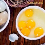 Trứng Chim Trĩ Giúp Phục Hồi Sức Khỏe (Set 20 Trứng)