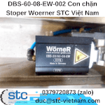 Dbs-60-08-Ew-002 Con Chặn Stoper Woerner Stc Việt Nam