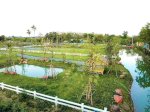 Đất Vườn Củ Chi View Sông Xã Thái Mỹ