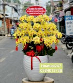 Dịch Vụ Điện Hoa Uy Tín Hàng Đầu Tphcm - Hoa Tươi 247 Sài Gòn