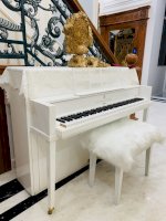 Sửa Đàn Piano Uy Tín - Đức Trí Music