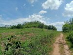 2.7 Mẫu Đất Giáp Suối, Có Đường Đi Siêu Đẹp Tại Gia Lai Giá 580Tr Lh: Nguyễn Hà