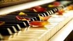 Những Điều Cần Biết Trước Khi Học Đàn Piano - Gợi Ý Mẫu Đàn Piano Cho Người Mới Bắt Đầu