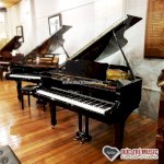 Giá Đàn Piano Cơ Tại Showroom Đức Trí Music